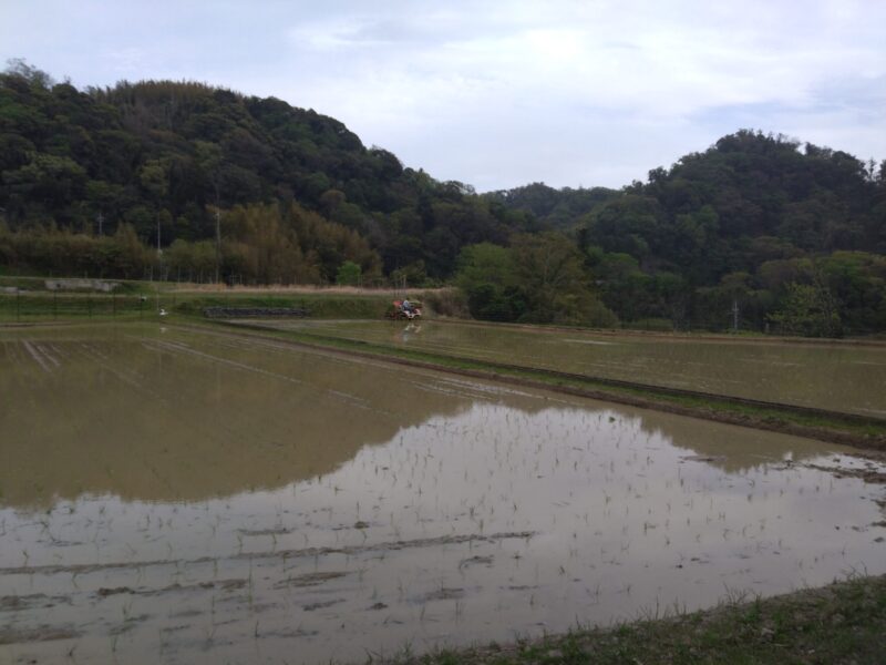 農地法にあてはまる不動産の特徴