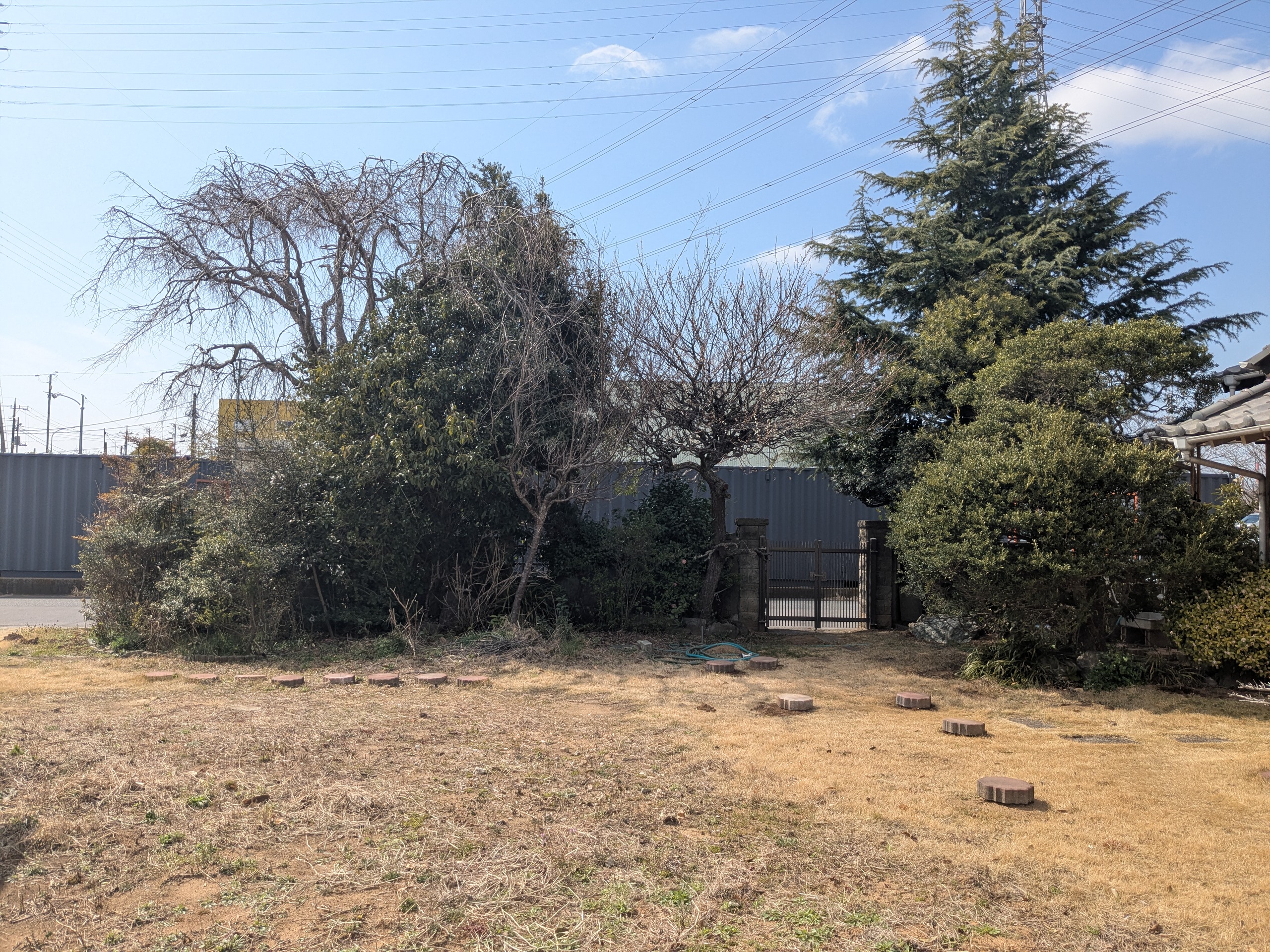 千葉市　庭園植樹伐採工事