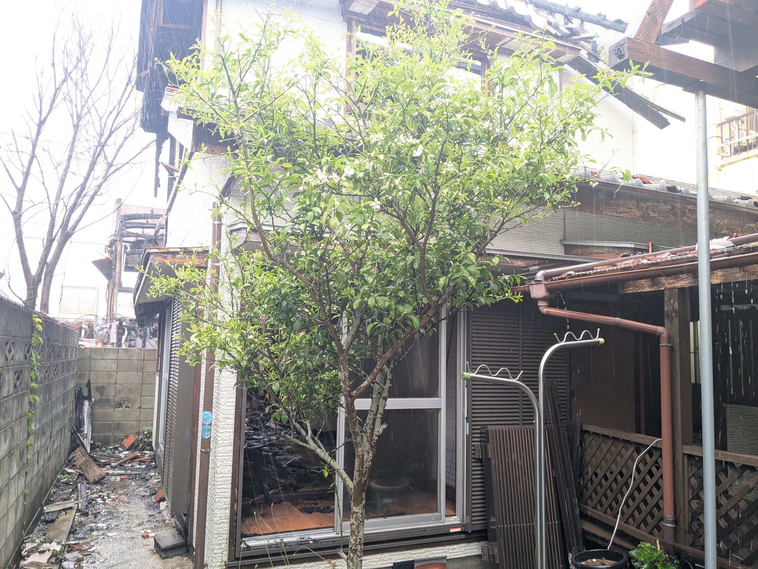 千葉県　木造30坪火災現場解体