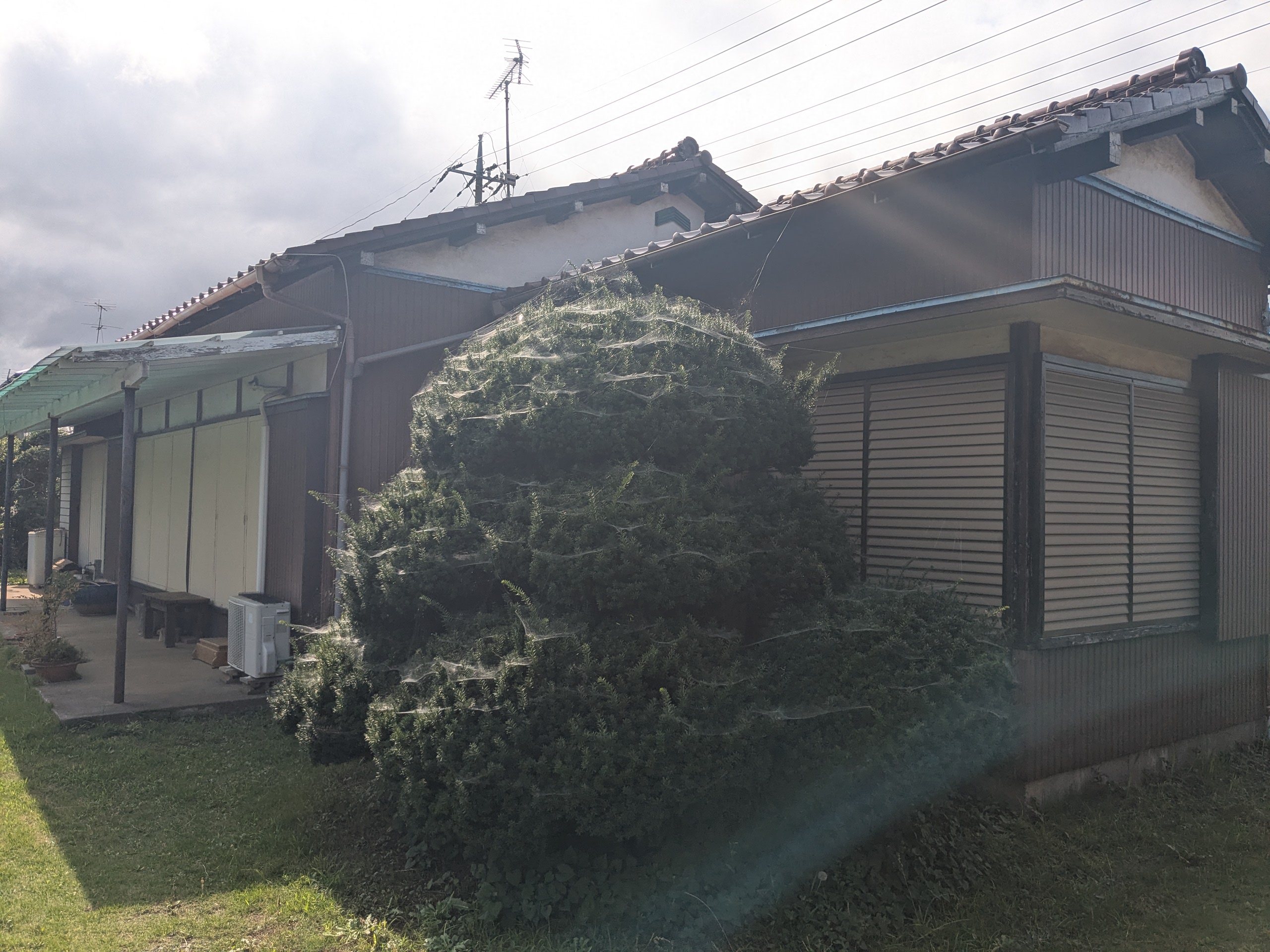 千葉市緑区　25坪木造平屋＋蔵解体工事